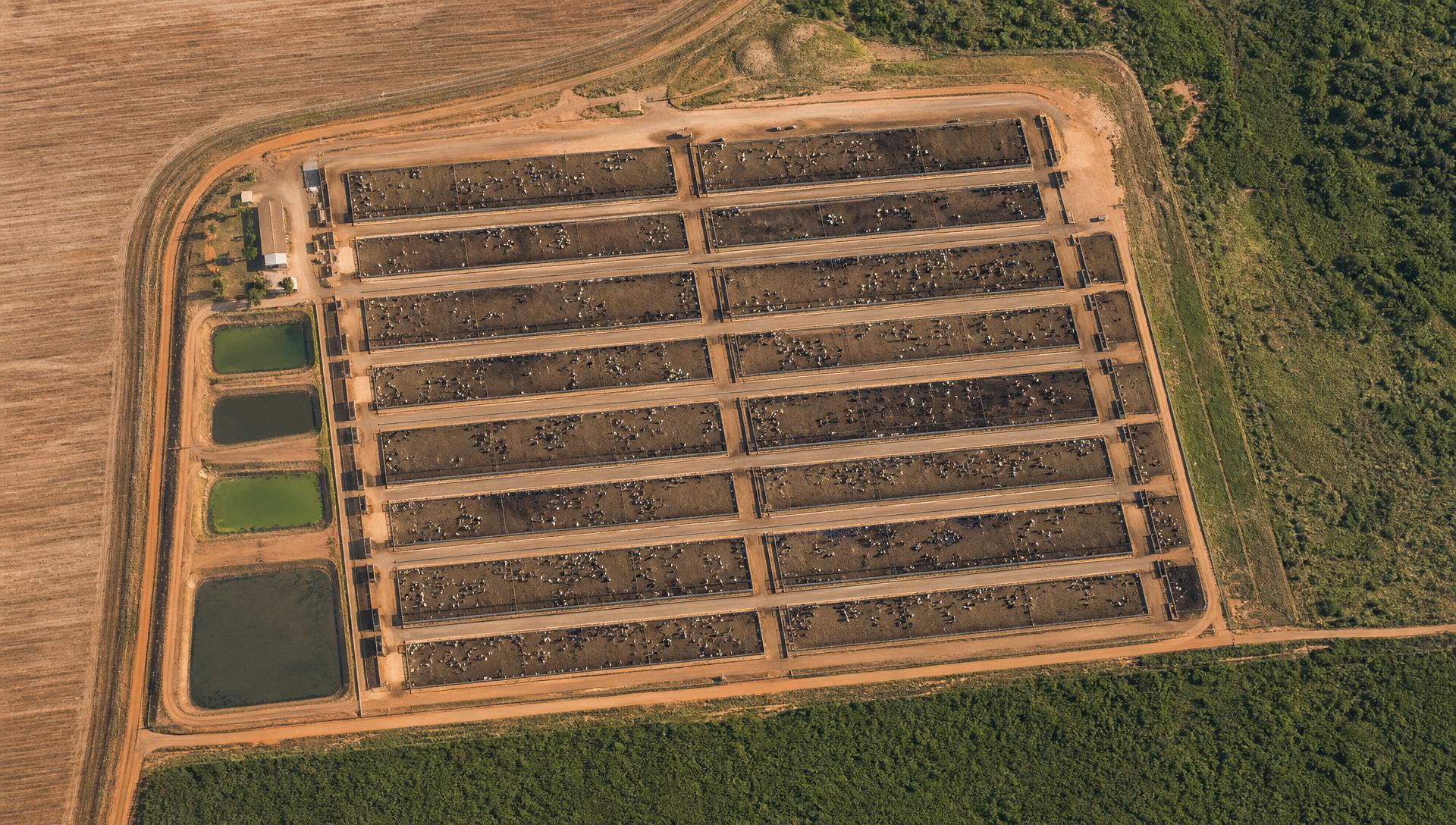 Vista aérea de confinamento de gado com piquetes e curral de manejo